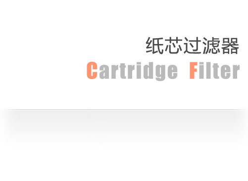 Cartridge Filter